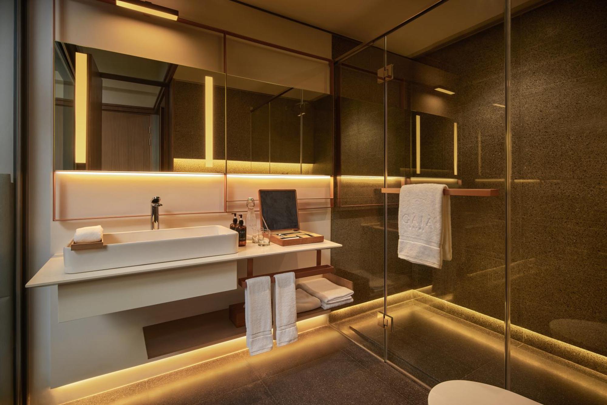 The Gaia Hotel Bandung 렘뱅 객실 사진